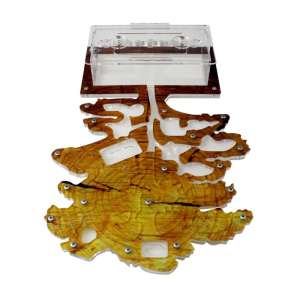 Стартовий набір мурашиної ферми "Пальмове дерево" – створіть власний мініатюрний світ