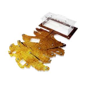 Стартовий набір мурашиної ферми "Осіннє дерево" – все необхідне для старту вашої колонії