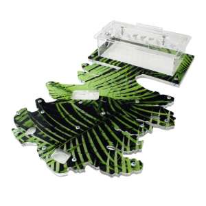 Стартовий набір мурашиної ферми "Осіннє дерево" – ідеальний вибір для створення власної колонії