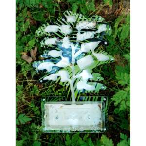 Стартовий набір мурашиної ферми "Пальмове дерево" – ідеальний вибір для створення власної колонії