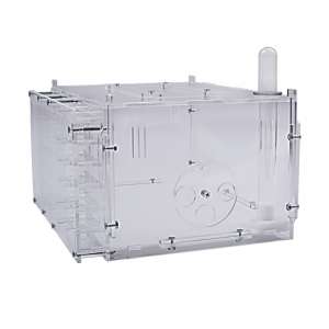 Стартовий набір "Max" – ідеальний вибір для середньої колонії