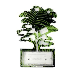 Стартовий набір мурашиної ферми "Пальмове дерево" – ідеальний вибір для створення власної колонії