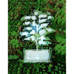 Стартовий набір мурашиної ферми "Осіннє дерево" – ідеальне рішення для початківців і досвідчених мурахолюбів