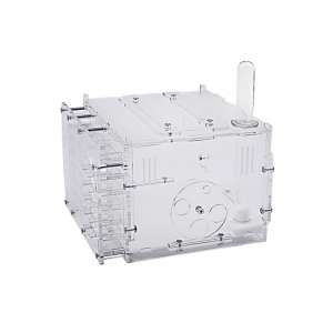 Стартовий набір "Mini" – компактна мурашина ферма для вашої першої колонії