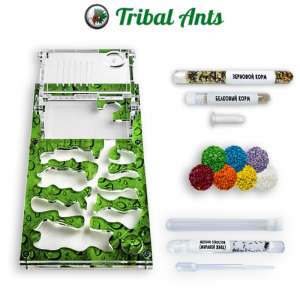 Мурашина ферма "Рай C3" – ідеальний вибір для першої колонії!