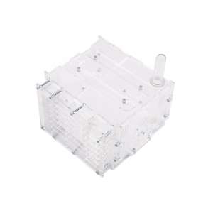 Стартовий набір "Mini" – компактна мурашина ферма для вашої першої колонії