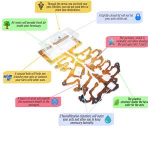 Мурашина ферма "Осіннє дерево" – створіть власний мініатюрний світ