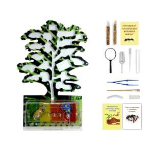 Стартовий набір мурашиної ферми "Осіннє дерево" – ідеальний вибір для створення власної колонії