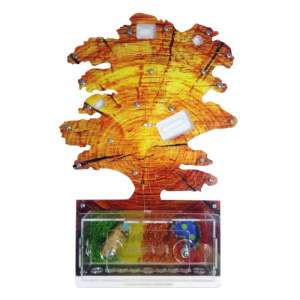 Мурашина ферма "Осіннє дерево" – створіть власний мініатюрний світ