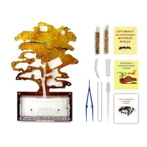 Стартовий набір мурашиної ферми "Осіннє дерево" – ідеальне рішення для початківців і досвідчених мурахолюбів