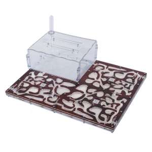 Мурашина ферма "Рай D4" – простір для великої колонії!