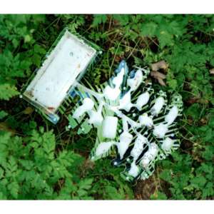 Стартовий набір мурашиної ферми "Осіннє дерево" – ідеальний вибір для створення власної колонії