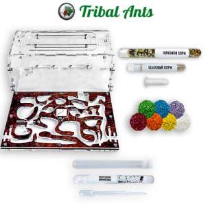 Мурашина ферма "Рай D2" – ідеальний вибір для вашого улюбленого хобі!