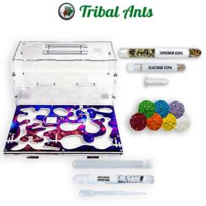 Стартовий набір мурашиної ферми "Рай A2" – все необхідне для створення власної колонії