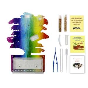 Стартовий набір мурашиної ферми "Райдужне дерево" – ідеальний вибір для вашої першої колонії