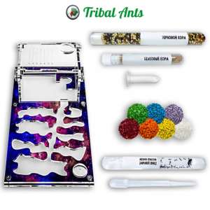 Стартовий набір мурашиної ферми "Рай A3" – ідеальний вибір для початківців