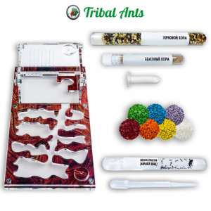 Мурашина ферма "Рай A3" – компактне та захопливе хобі для всієї родини!